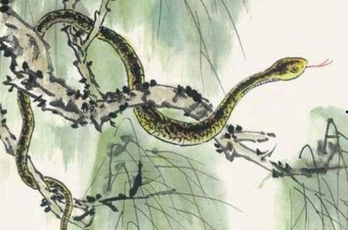 蛇与花2在线观看,在线揭秘神秘花蛇传说 第2张 蛇与花2在线观看,在线揭秘神秘花蛇传说 第2张